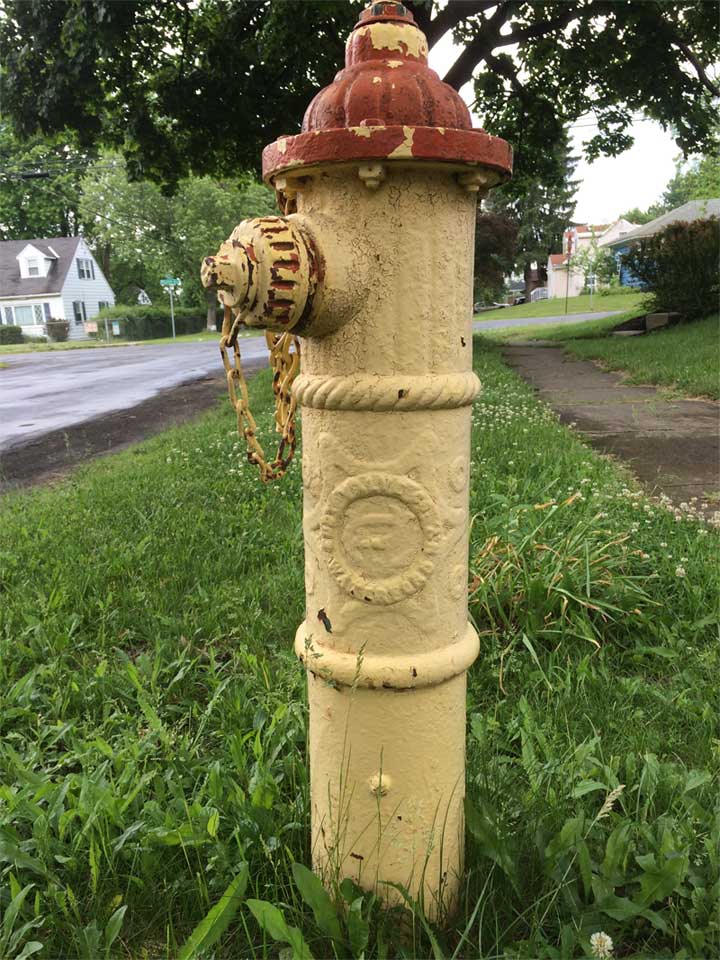 hydrant_on_Salisbury